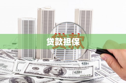 鱼池贷款担保