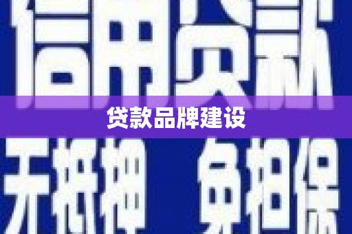 鱼池贷款品牌建设