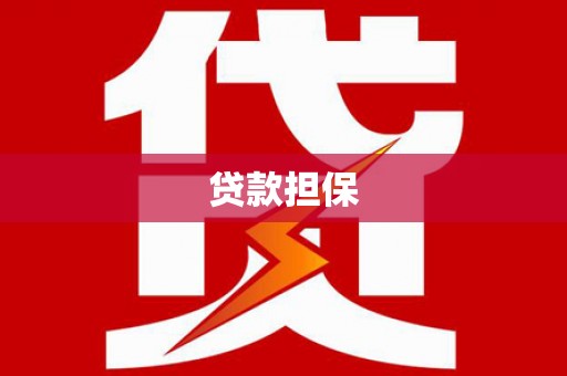 鱼池贷款担保