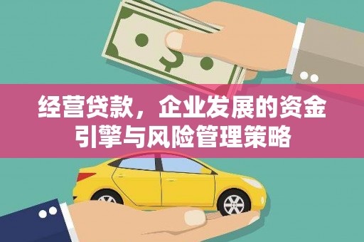 鱼池经营贷款，企业发展的资金引擎与风险管理策略