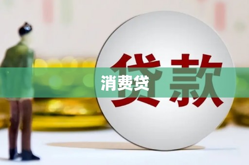 鱼池消费贷