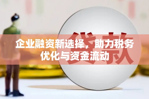 鱼池企业融资新选择，助力税务优化与资金流动