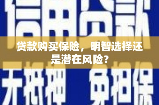 鱼池贷款购买保险，明智选择还是潜在风险？