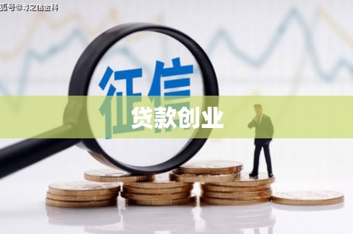 鱼池贷款创业