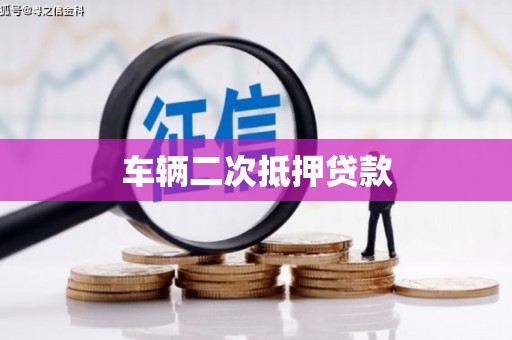 鱼池车辆二次抵押贷款