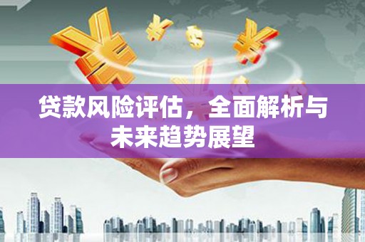 鱼池贷款风险评估，全面解析与未来趋势展望