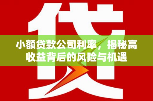 鱼池小额贷款公司利率，揭秘高收益背后的风险与机遇