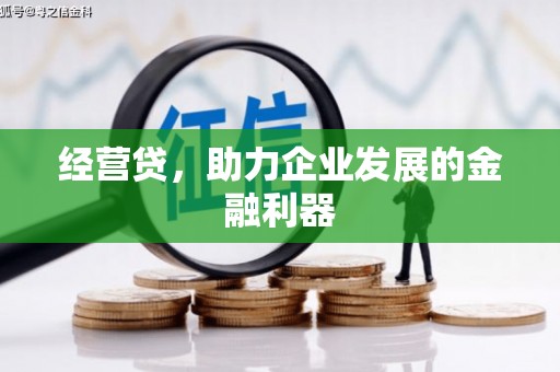 鱼池经营贷，助力企业发展的金融利器