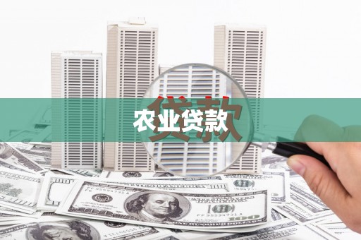 鱼池农业贷款