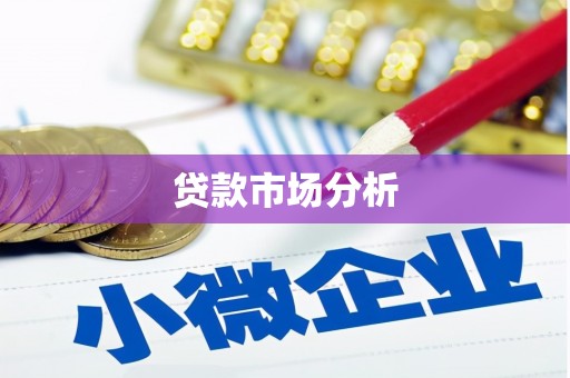 鱼池贷款市场分析