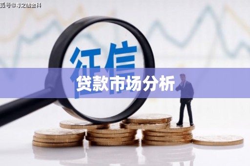 鱼池贷款市场分析