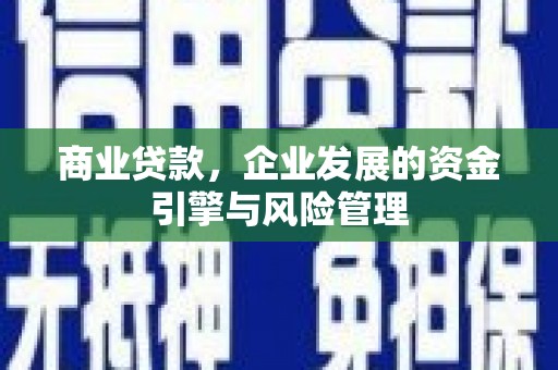 鱼池商业贷款，企业发展的资金引擎与风险管理