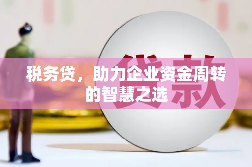 鱼池税务贷，助力企业资金周转的智慧之选