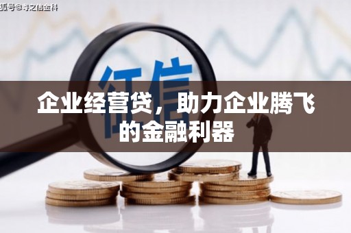 鱼池企业经营贷，助力企业腾飞的金融利器
