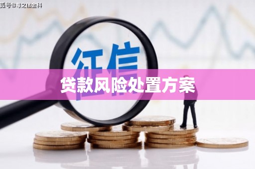 鱼池贷款风险处置方案