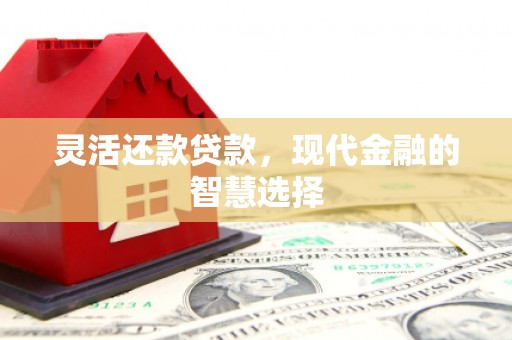 鱼池灵活还款贷款，现代金融的智慧选择