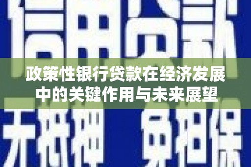 鱼池政策性银行贷款在经济发展中的关键作用与未来展望