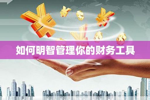 鱼池如何明智管理你的财务工具