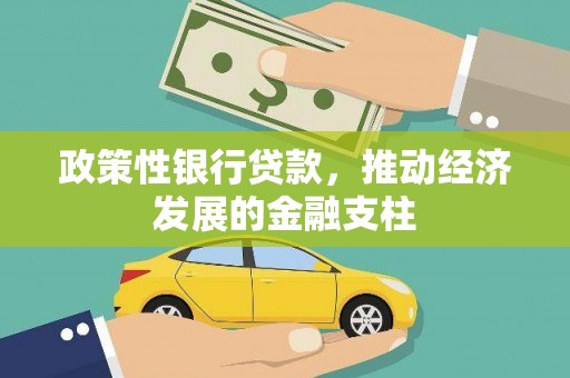 鱼池政策性银行贷款，推动经济发展的金融支柱