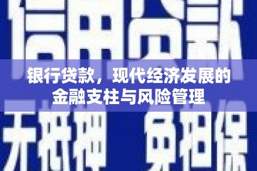 鱼池银行贷款，现代经济发展的金融支柱与风险管理