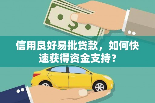 鱼池信用良好易批贷款，如何快速获得资金支持？