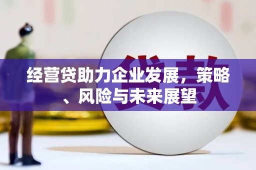 鱼池经营贷助力企业发展，策略、风险与未来展望