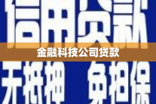 鱼池金融科技公司贷款