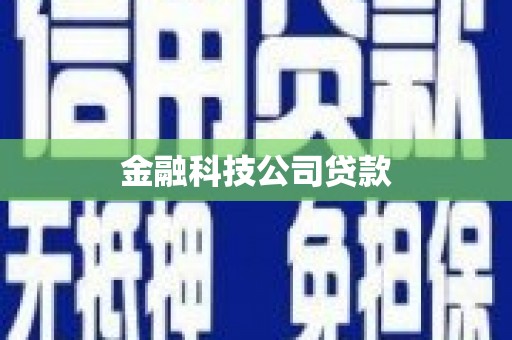 鱼池金融科技公司贷款