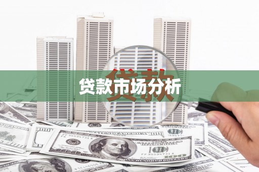 鱼池贷款市场分析