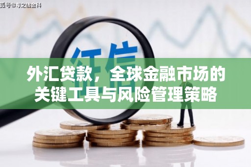 鱼池外汇贷款，全球金融市场的关键工具与风险管理策略