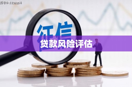 鱼池贷款风险评估