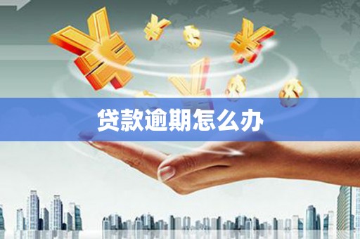 鱼池贷款逾期怎么办