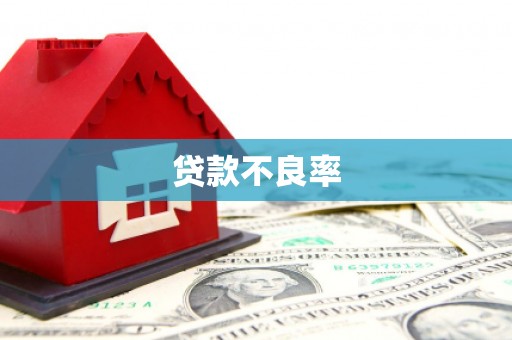 鱼池贷款不良率