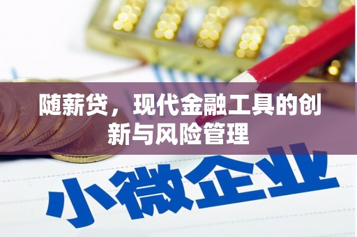 鱼池随薪贷，现代金融工具的创新与风险管理