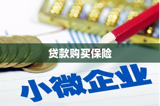 鱼池贷款购买保险