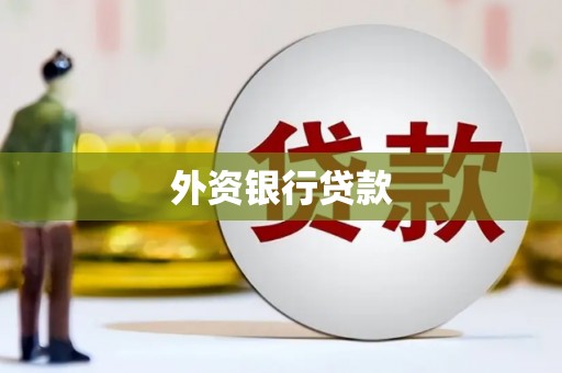 鱼池外资银行贷款