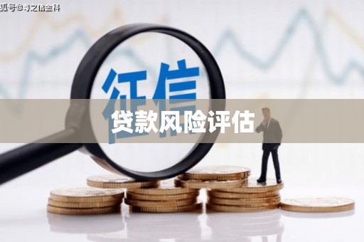 鱼池贷款风险评估