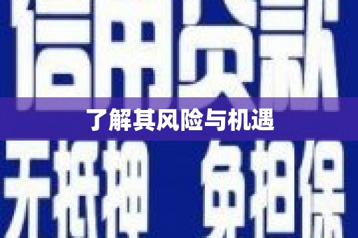 鱼池了解其风险与机遇