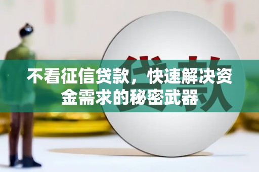 鱼池不看征信贷款，快速解决资金需求的秘密武器