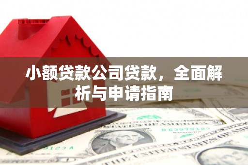鱼池小额贷款公司贷款，全面解析与申请指南