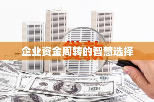 鱼池企业资金周转的智慧选择