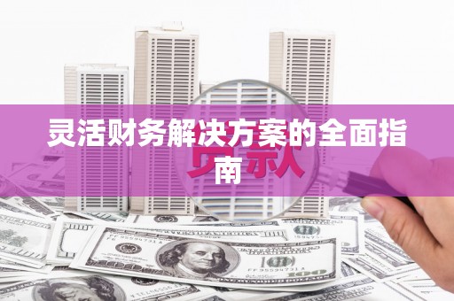 鱼池灵活财务解决方案的全面指南