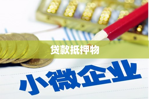 鱼池贷款抵押物