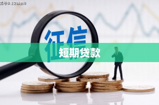 鱼池短期贷款
