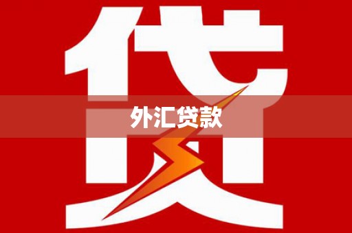 鱼池外汇贷款