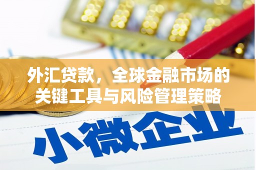 鱼池外汇贷款，全球金融市场的关键工具与风险管理策略