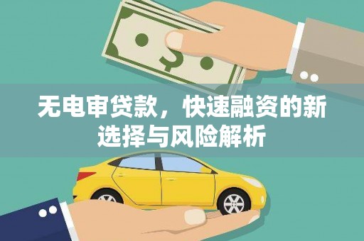 鱼池无电审贷款，快速融资的新选择与风险解析