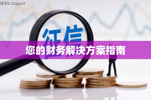 鱼池您的财务解决方案指南