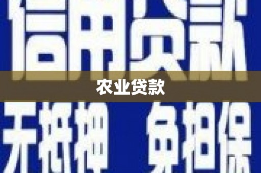 鱼池农业贷款