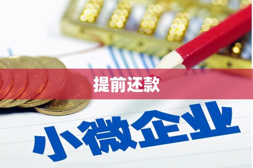 鱼池提前还款